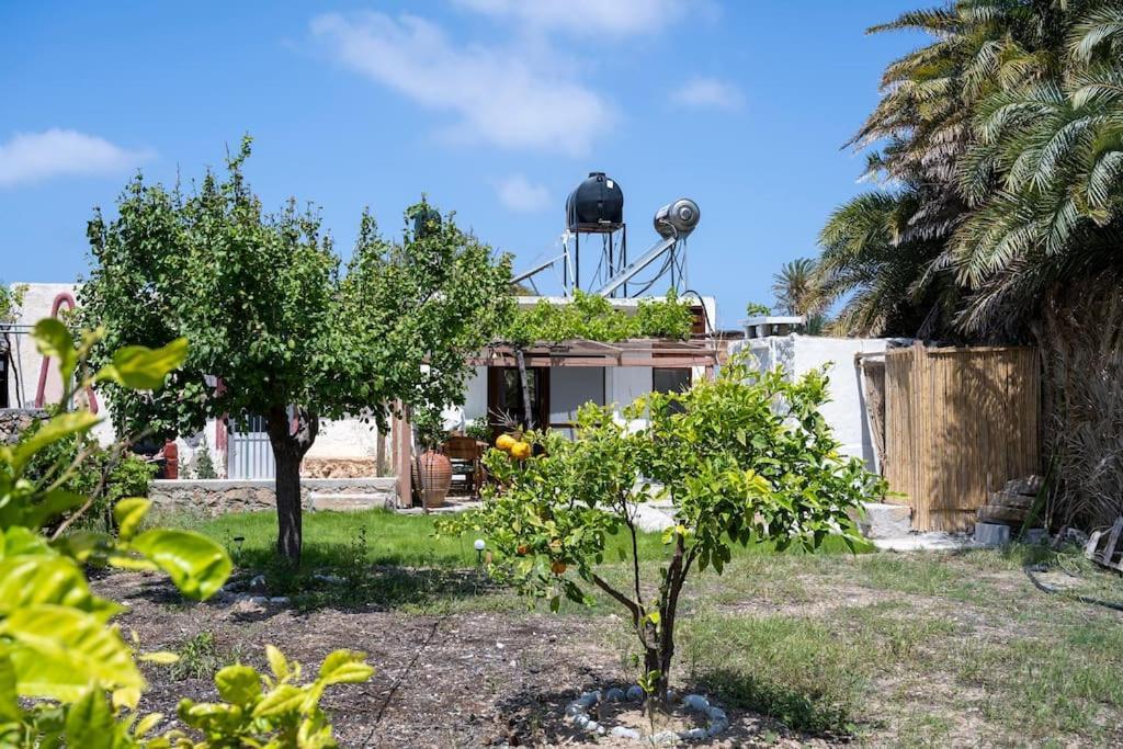 Finikas House *